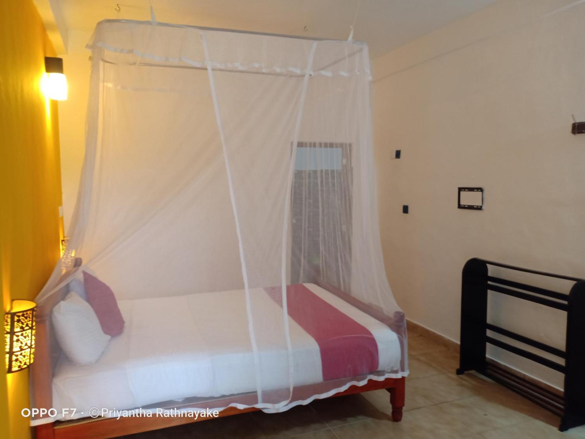 Ella Forest Paradise Hotel Ngoại thất bức ảnh